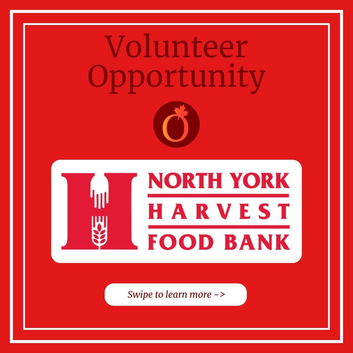 Our Instagram post about Volunteer At North York Harvest Food Bank